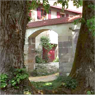 Linden
