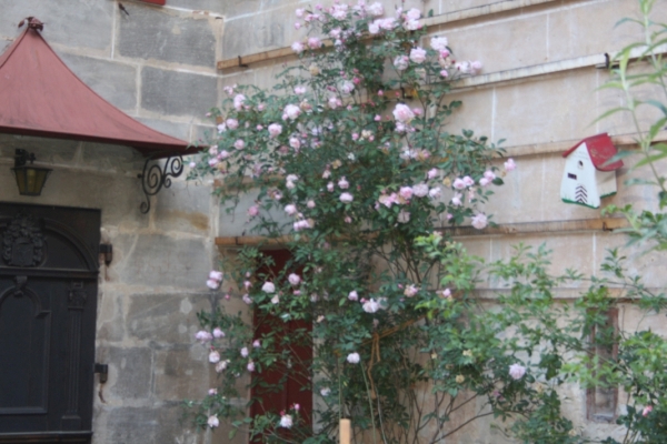 roses at the hall of weapons