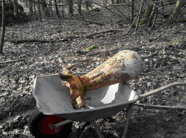 der alte WaMa-Widder