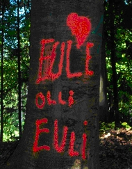 Euli: Buche