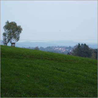 Schwarzachaue
